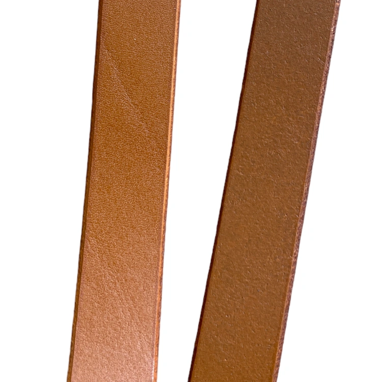 image1.jpeg