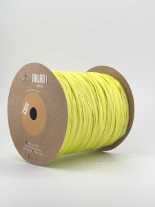 Milano Rafia 10 Neon| Włóczka Milano Rafia | Wiskozowa