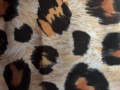 IMG_4735.jpeg