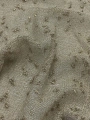 IMG_8679.jpeg